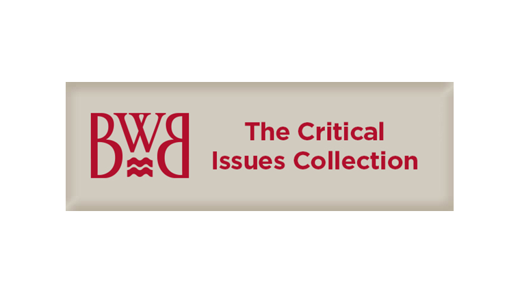 BWB - The Critical Issues Collection